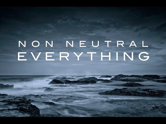 Non Neutral – "Everything" (Lyric video)