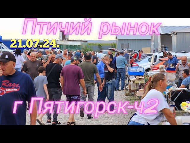 Pigeons and prices Bird market in Pyatigorsk -ch2