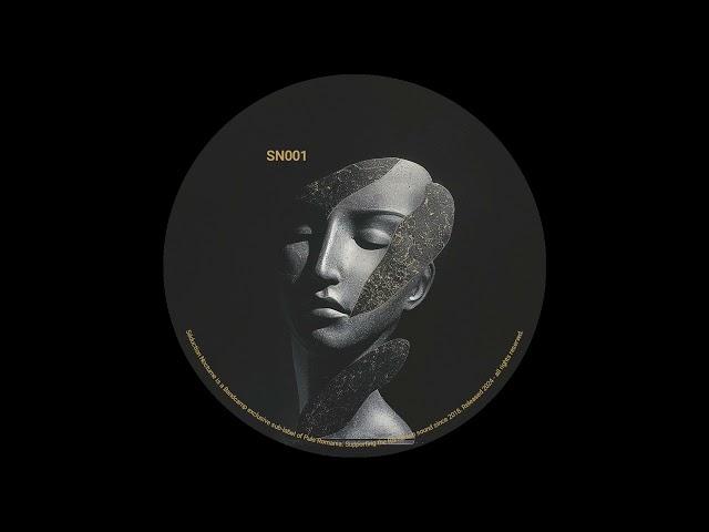 Daniel Meister - Unity in Diversity [SN001]