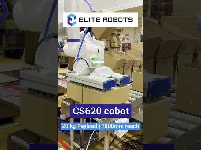 Elite Robots All-in-1 Palletizing - Meat factory East Europe