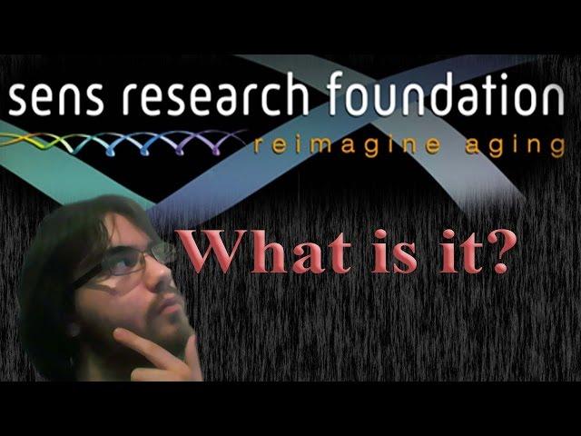 What is the SENS Foundation?