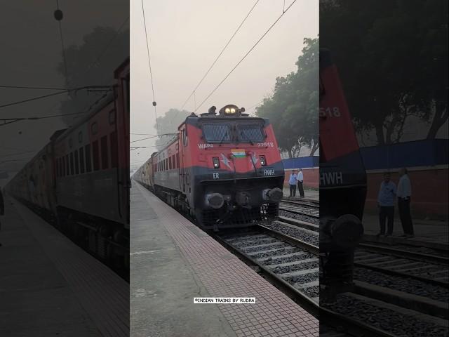 30 glorious of Wap4 locomotive livery loco hauling 12333 Vibhuti express  #wap4 #beautiful #livery