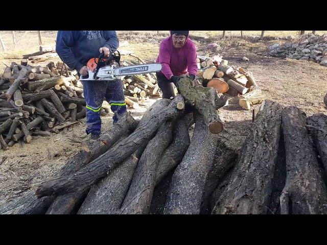 Stihl ms 500i cutting firewood