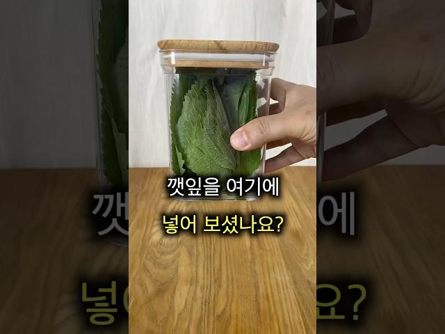 채소 싱싱하게 보관하는 법, 깻잎부터 방울토마토까지!