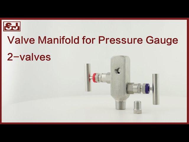 PRA-VS | Valve Manifold for Pressure Gauge, 2-valves