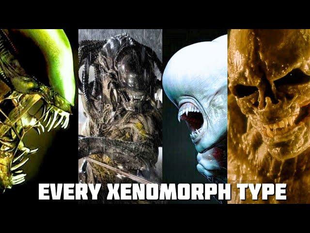 Every Xenomorph Type Explained (inc. Alien Romulus)