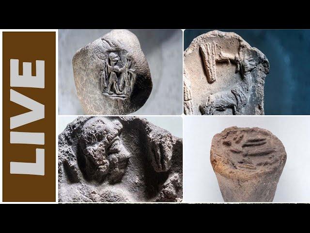 Latest Archaeological Discoveries (Aug and Sep 2024)