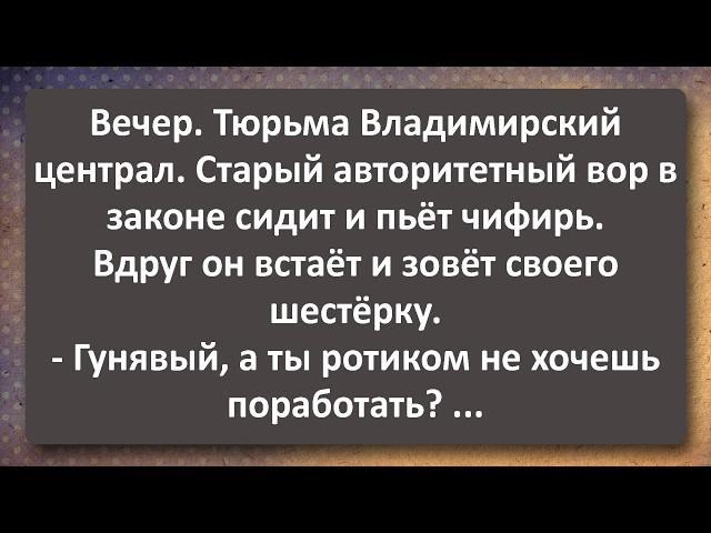 Анжела 35 лет в Постели с Чукчей и Старый Авторитет! Сборник Самых Свежих Анекдотов!