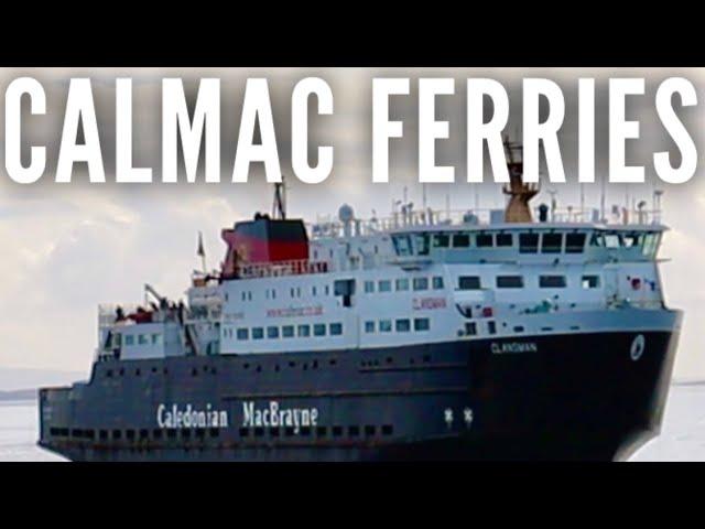 All this for £18? A CalMac day return is the best value boat trip! Caledonian MacBrayne and dolphins