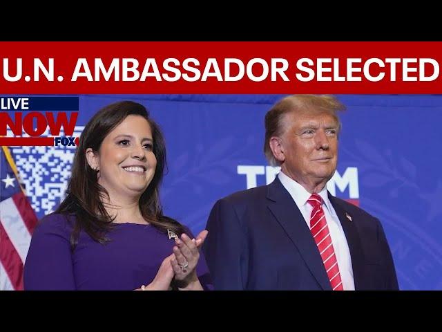 BREAKING: Trump picks Elise Stefanik as UN ambassador LiveNOW from FOX