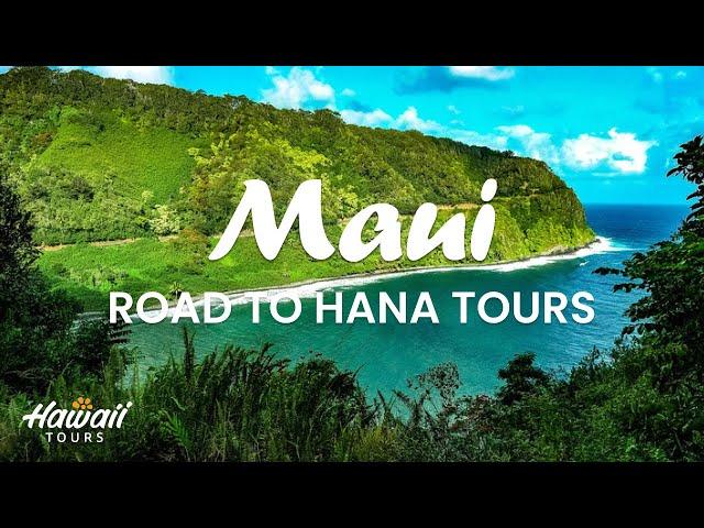 Road to Hana Tours | See The Best Of The Hana Highway