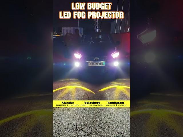 Budget LED Fog Projector | Car LED Lights | Car Accessories Chennai | Car Sense #shorts