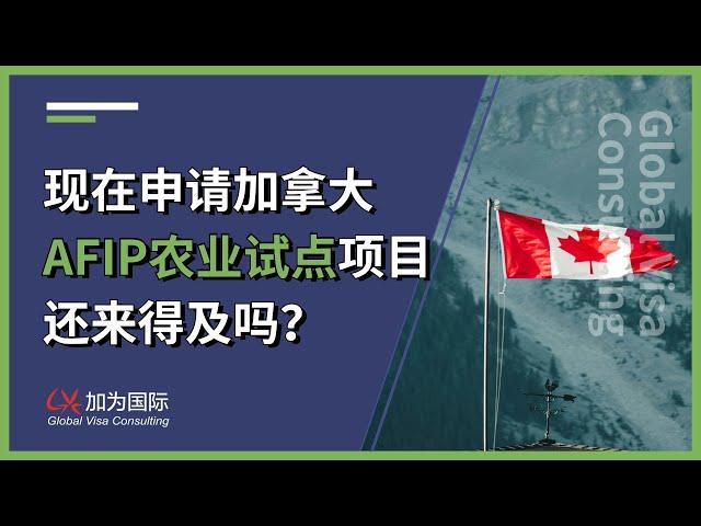 加拿大AFIP农业试点还来得及吗？这个项目会延期吗？