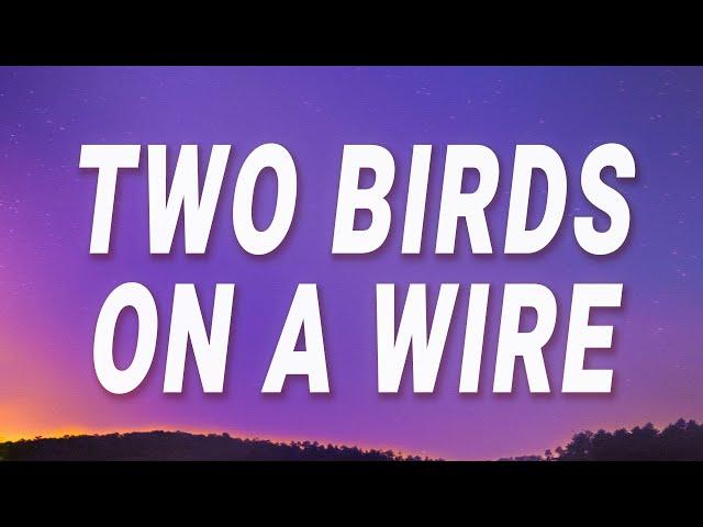 Regina Spektor - Two Birds On a Wire (Lyrics)