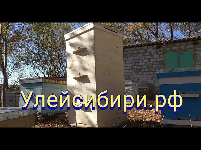 УЛЕЙСИБИРИ. Деревянные улья для пчел.