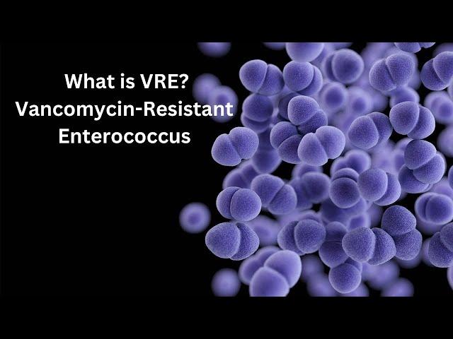 What is VRE? Vancomycin-Resistant Enterococcus