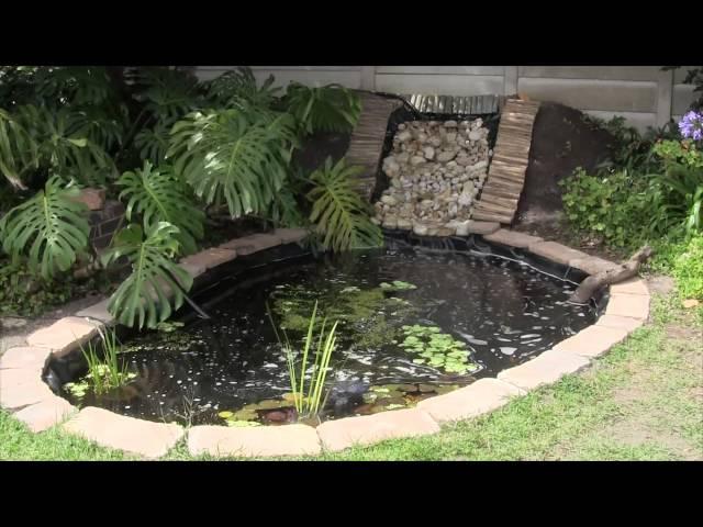 Pond and waterfall