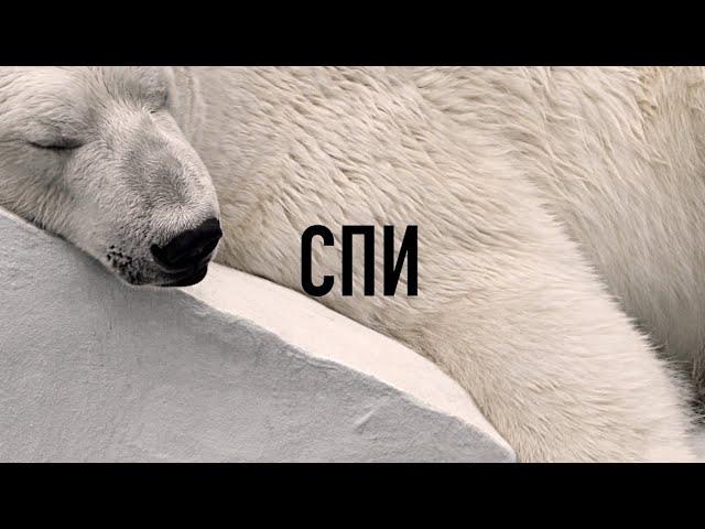 Часть 3. Тихая Музыка и Слово Божье: Спи с Библией