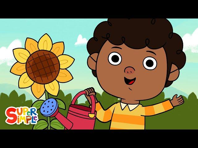 The Seasons Song | Kids Songs | Super Simple Songs