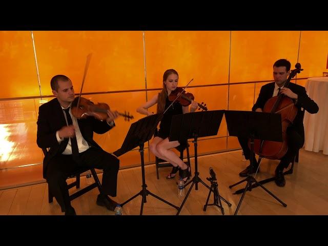 Wedding Musicians - String Trio in NYC