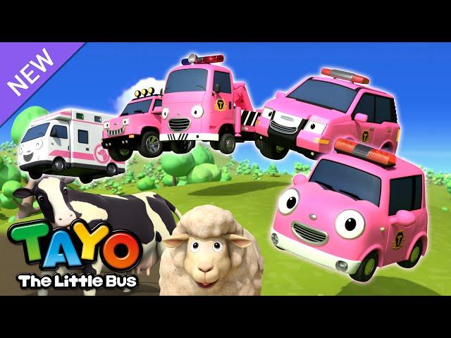 Pink Animal Rescue Team | Tayo Rescue Team Song | RESCUE TAYO | Song for Kids | Tayo the Little Bus