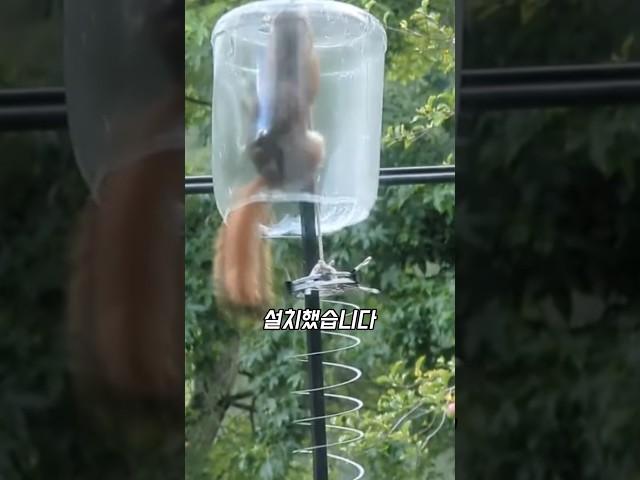 사람보다 한 수 위인 다람쥐의 생존 본능