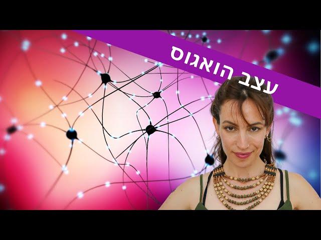 עצב הואגוס - מה זה בדיוק ולמה חשוב לחזק אותו