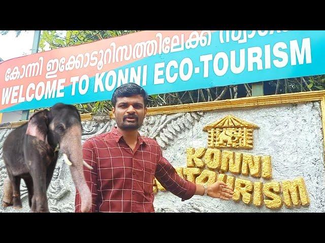 Konni Elephant Training camp video blog Malayalam