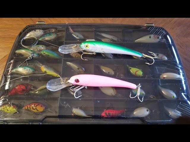 Best King Mackerel Lure