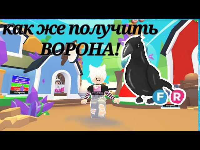 Как получить Ворона в Adopt me  #roblox #adopt me