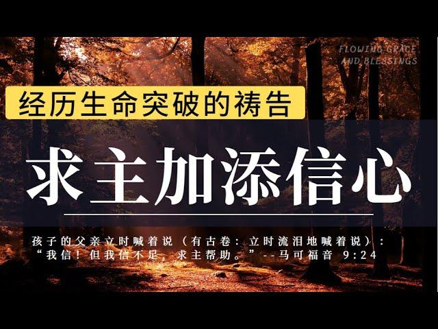 经历生命突破的祷告| 求主加添信心|禱告時光|我们能以得着并且不失了信心，都是因为你才是为我们信心创始成终的那一位啊，你也在我们的软弱过犯之处，为我们祷告，使我们不至失了信心|睡前祷告 内室晚祷#祷告