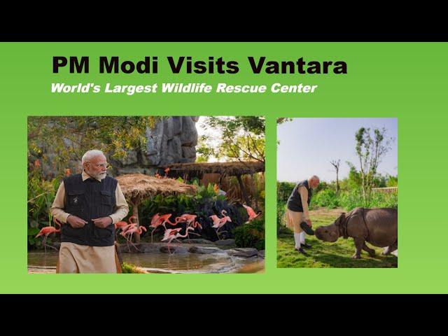 PM MODI Inaugurated World Largest Animal Rescue Center VANTARA Video