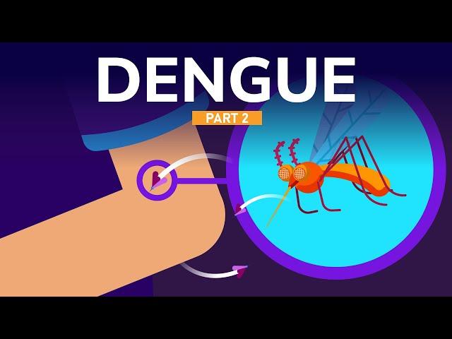 Treatment and Prevention Against Dengue