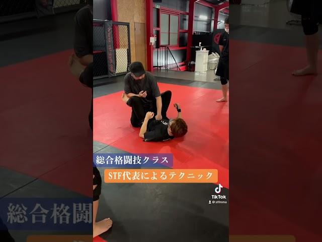 #総合格闘技 #mma #テクニック #stf
