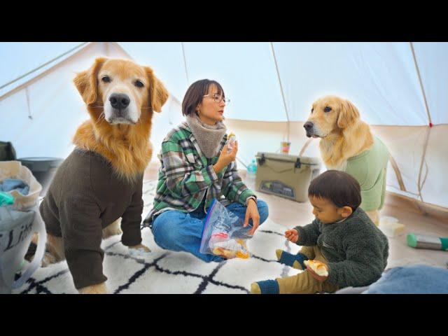 大型犬＆1歳児連れてキャンプ行ったら眠れませんでした