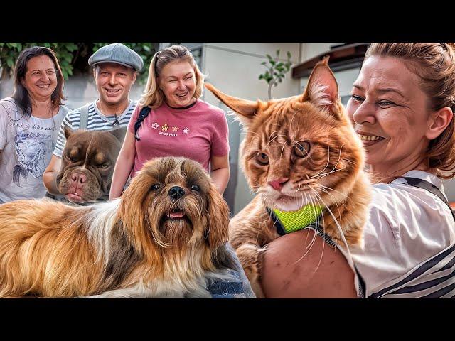 Flea market Odessa. Breeds of cats and dogs Top 10. Lipovan flea market