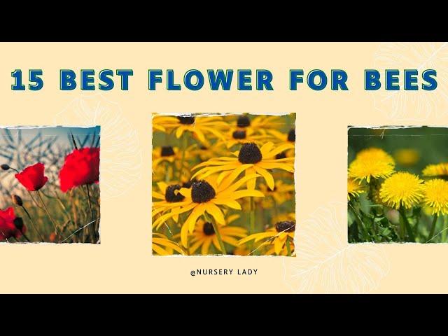 15 Best Flower For Bees | Bee Attracting Flowers | Vatika