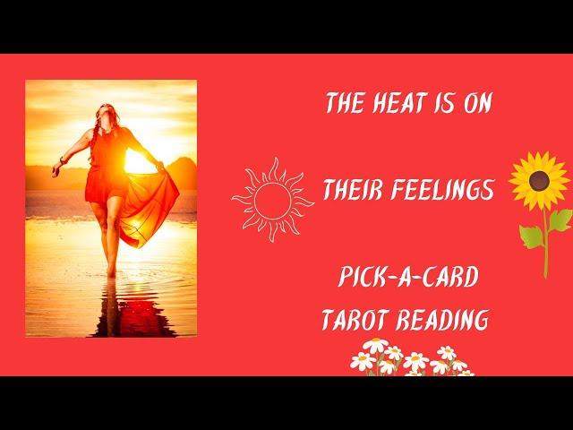 ️The Heat is On/Their feelings/Pick-a-Card Tarot Reading