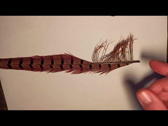 Fly Tying With Martin: Easiest And Best Way To Knot Legs