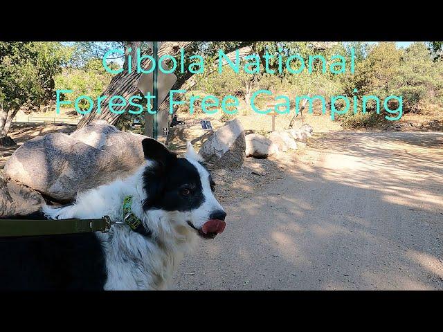 Free Camping In Cibola National Forest - Water Canyon