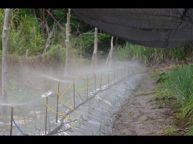 Aprenda a fazer um aspersor de água para molhar hortaliças -  Learn how to make a water sprinkler