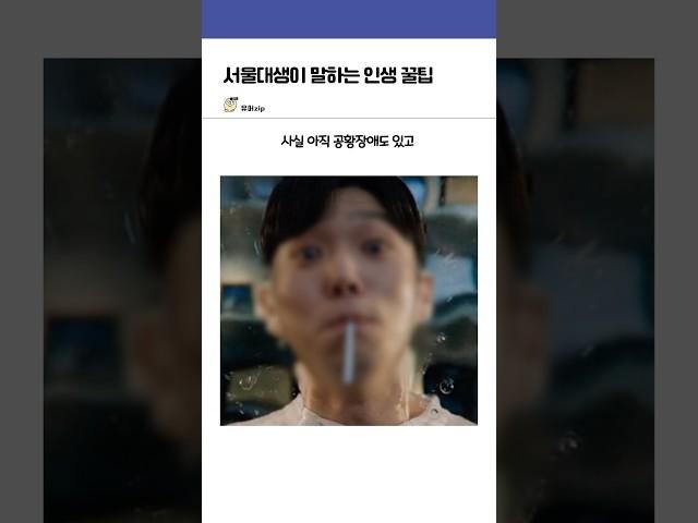 서울대생이 말하는 인생 꿀팁