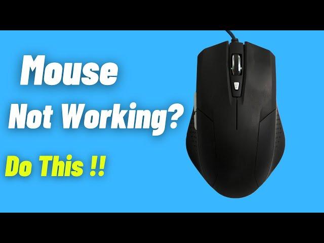 How To Fix Mouse Not Working in Windows 11/Windows 10