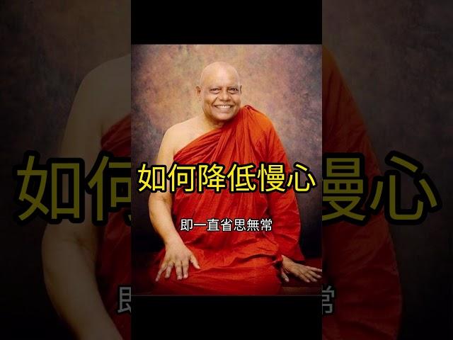 如何降低慢心？南傳上座部佛教：聖法大長老開示。說明欄有電子書下載及一日禪修資訊。 | 巴利三藏 | 佛法問答|禪修| 阿毗達摩| 清淨道論|法句經