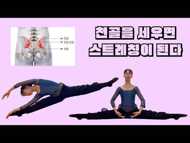 [사부작발레] 스트레칭 꿀팁 1탄 천골 세우기 / 모든 스트레칭은 천골 세우기 부터 시작된다 / 천골을 세우면 스트레칭이 된다 / 한 뻣뻣하는 선생님이 알려주는 스트레칭 비법