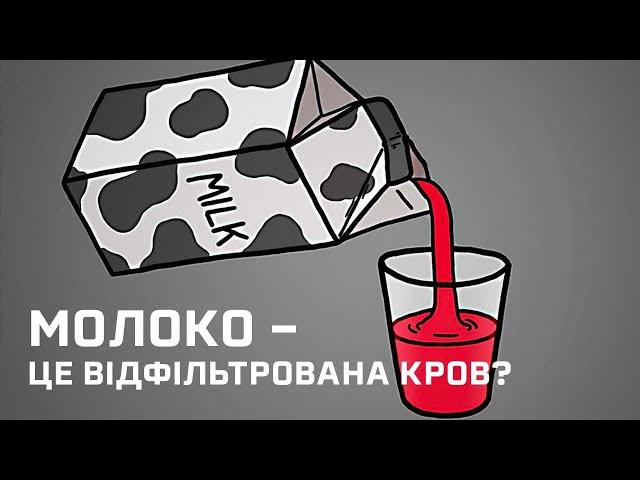 Молоко – це відфільтрована кров? [MinuteEarth]