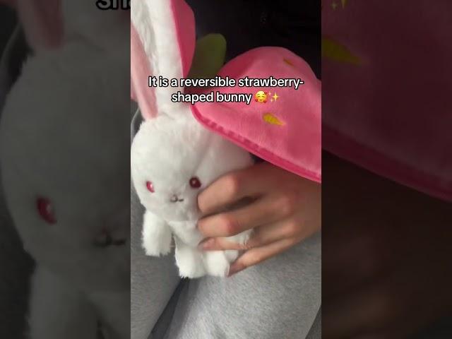 The bunny is super cute , i LOVE ITTT #toybunny #plushbunny #bunnyplush #bunnytoy