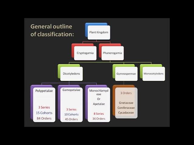 Bentham and Hooker system of classification of flowering plants