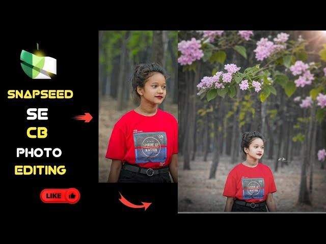 Snapseed CB Photo Editing || CB Photo Editing Snapseed || Snapseed CB Photo Editing kaise kare