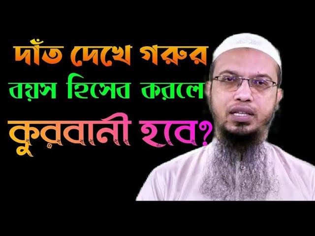 দাঁত দেখে গরুর বয়স হিসাব করলে কুরবানী হবে?  - শায়খ আহমাদুল্লাহ